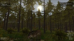 Wolf Simulator