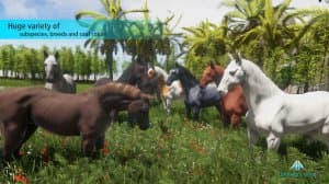 Animallica