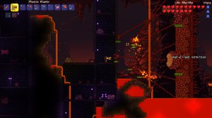 Terraria (��������)
