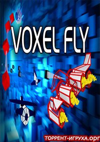 Voxel Fly