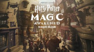 Harry Potter Magic Awakened