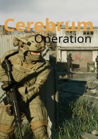 Cerebrum Operation