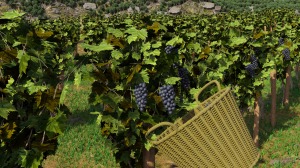 Winery Simulator