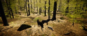 Animal Simulator