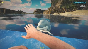 Dolphin Trainer VR