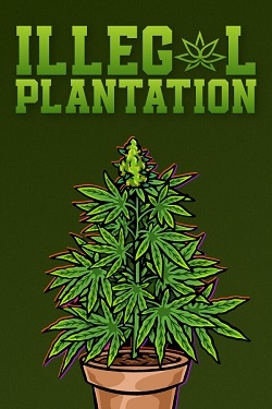 Illegal Plantation