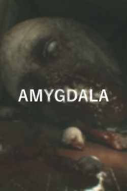 Amygdala