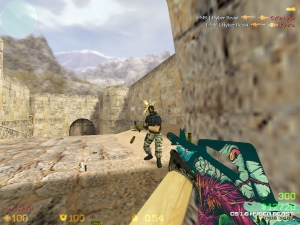 Counter-Strike 1.6 Hyper Beast