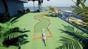 Ship's Cat