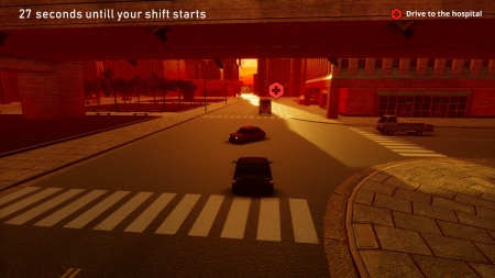 Doctor Life Simulator