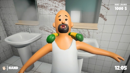 Mr Toilet