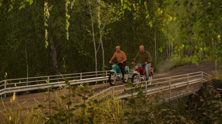 Finnish Cottage Simulator