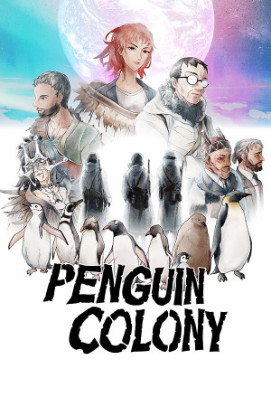 Penguin Colony
