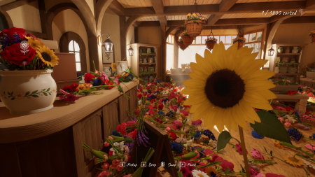 Tidy Up the Flower Shop