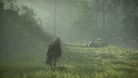 Shadow of the Colossus
